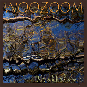 Input by WOOZOOM