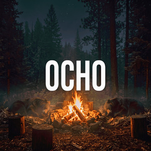 OCHO Echoes in the Fog by Bulsara Room