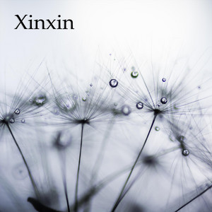 Xin poster