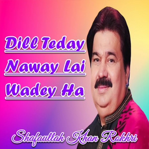 Shafaullah Khan Rokhri - Dill Teday Naway Lai Wadey Ha