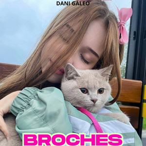 Broches by Dani Galeo