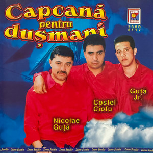 Nicolae Guță - Când îmi cere bani copii