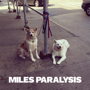 Believer by Miles Paralysis