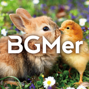 BGMer - 陽気な週末
