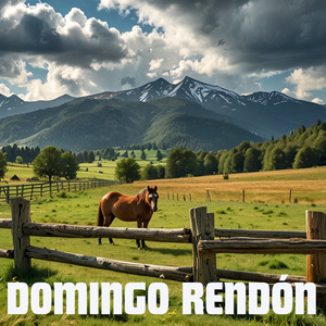 Tu Eres Mi Todo by Domingo Rendon