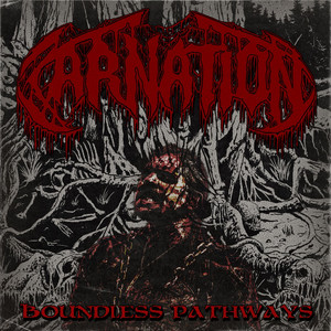 Boundless Pathways by Carnation
