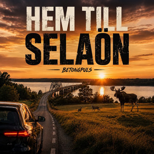 Hem till selaön by Betongpuls