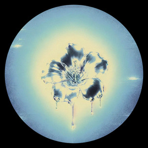 Honey by Novaj, Louis Seigner
