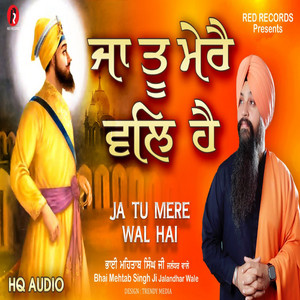 Bh Mehtab Singh Ji Jalandhar Wale - Ja Tu Mere Wal Hai