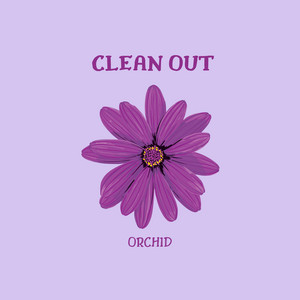 ORCHID - CLEAN OUT