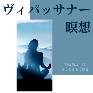 【中古】 ヴィパッサナー瞑想 ヴィパッサナー瞑想：精神的な力・目覚め・健康的な生活・ありのままに
