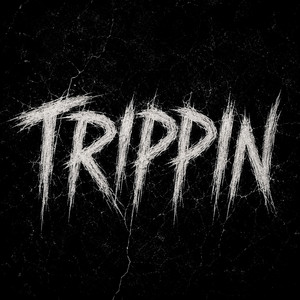 Trippin by Plug