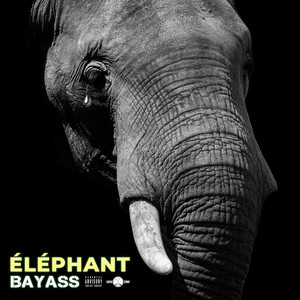 Portada de Éléphant