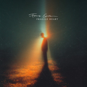 Fragile Heart by Franz Bengtsson, Franz Gordon