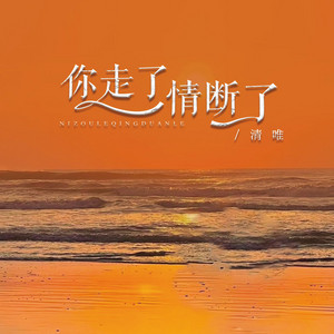 你走了情断了 - DJ九零版 by 姚亮