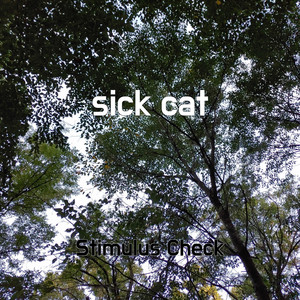 Sick Cat
