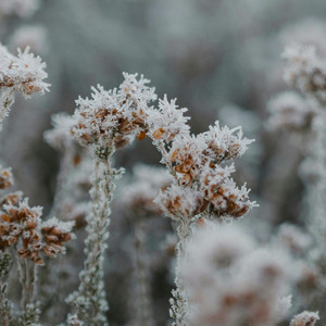 Clustered in the Cold by Esteban Miravel