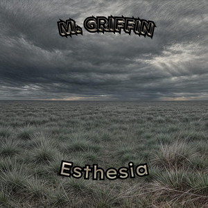Mandela Effect by M. Griffin