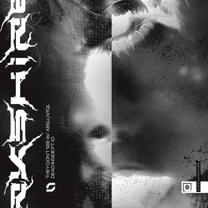 Dead Inside by SLWDWN, IO