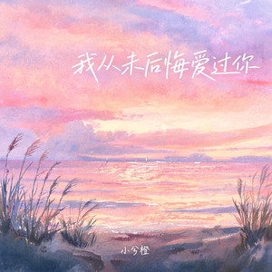 我从未后悔爱过你 by 小兮橙