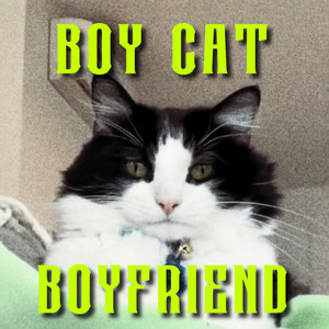 Boy Cat Boyfriend by Kayla Teel