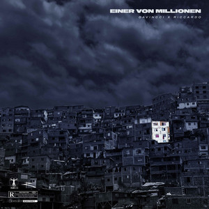 Einer von Millionen by DaVincci, Riccardo