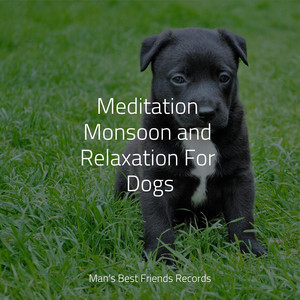 Meditation Monsoon and Relaxation For Dogs album