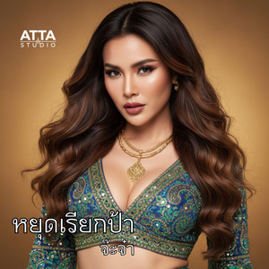 หยุดเรียกป้า