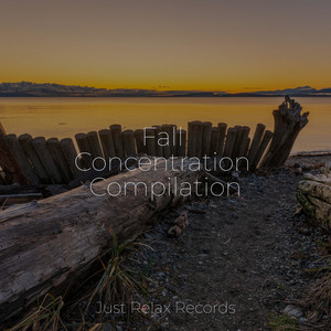 Fall Concentration Compilation
