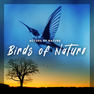 Birds of Nature album