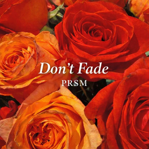 Don't Fade by PRS̈M