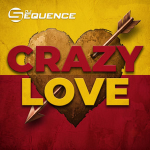 Crazy Love - Radio Edit by DJ Sequence