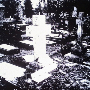 Verlos morir by Anttonias