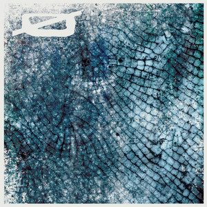 Perplexed by Ø [Phase]
