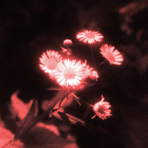 without you by yuto oizumi, Red X