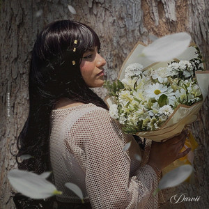 Darvii & Romanis - tal vez no