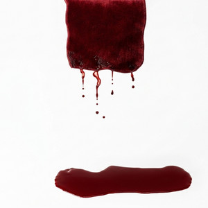 Lizasodumb — RED CARPET