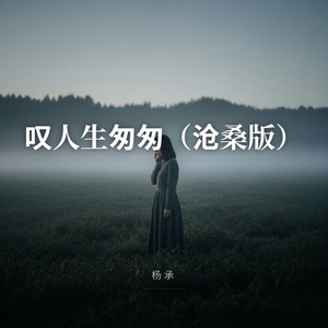 叹人生匆匆（沧桑版） by 杨承