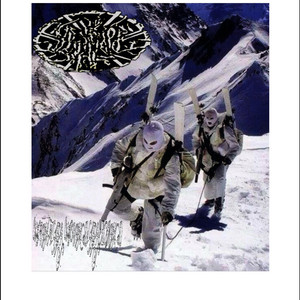 SALVATE NJ - Holiday crack whore