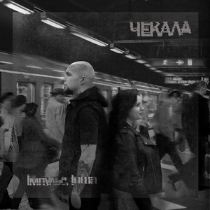Импульс — Чекала