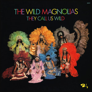 The Wild Magnolias | Spotify