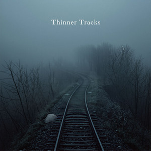 Thinner Tracks by The Dig