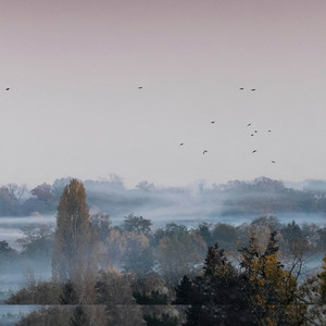 Soft Dawn and Birdsong by Veldt Echoes