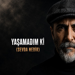 Yaşamadım ki