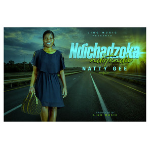 Ndichadzoka Ndotenda by Natty Gee zw