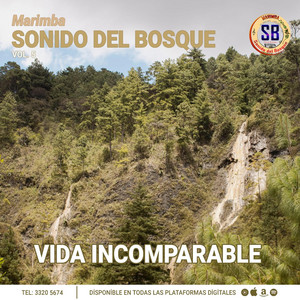 Marimba Sonido del Bosque - Vida incomparable