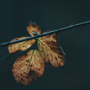 Only a Thought by knownbyC