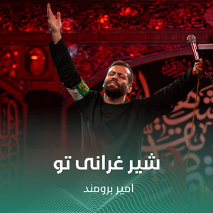 شیر غرانی تو by امير برومند