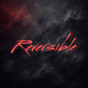 Reversible by black swey vip