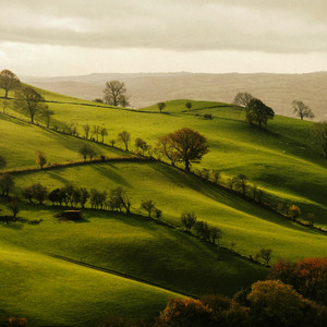 fields of home by pete castle, Rosa Moln, AC